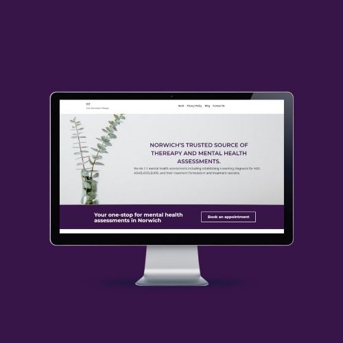 Therapy Web Design Zimbabwe
